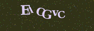 Validation image